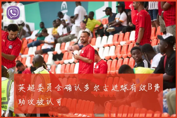 英超委员会确认多尔古进球有效B费助攻被认可