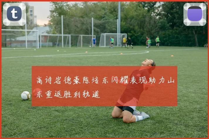 高诗岩德豪陈培东闪耀表现助力山东重返胜利轨道